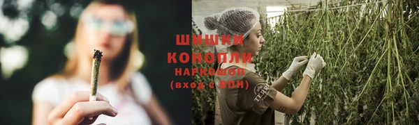 СК Семикаракорск