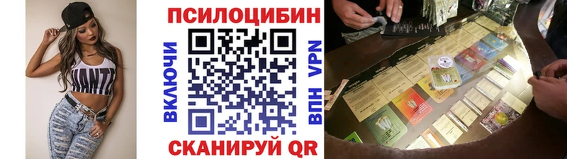 Купить закладки  Талдом  Псилоцибиновые грибы Cubensis 